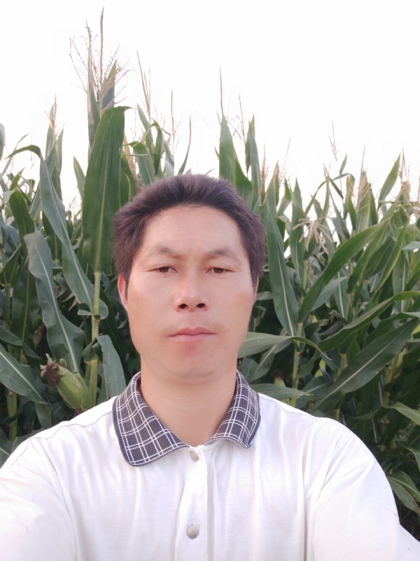 四海游龙的第一张照片--镇江相亲服务中心