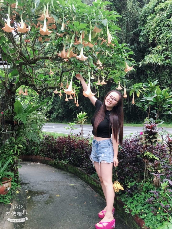 离异单身无子的第二张照片--镇江相亲服务中心