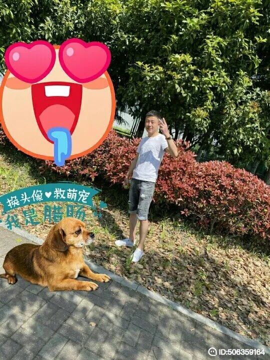 我若不坚强谁替我勇敢的第一张照片--镇江相亲服务中心