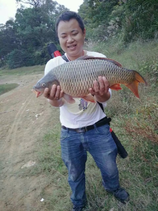 迷路的男人的第一张照片--镇江相亲服务中心
