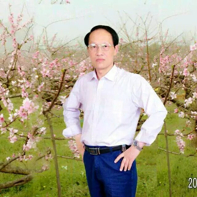 枫叶的第一张照片--镇江相亲服务中心